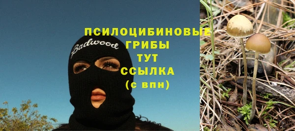 прущая мука Михайловка